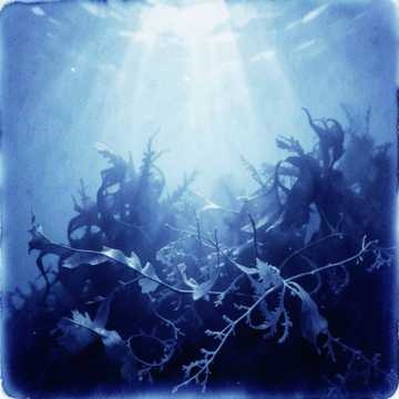 Okładka - Latarnia morska