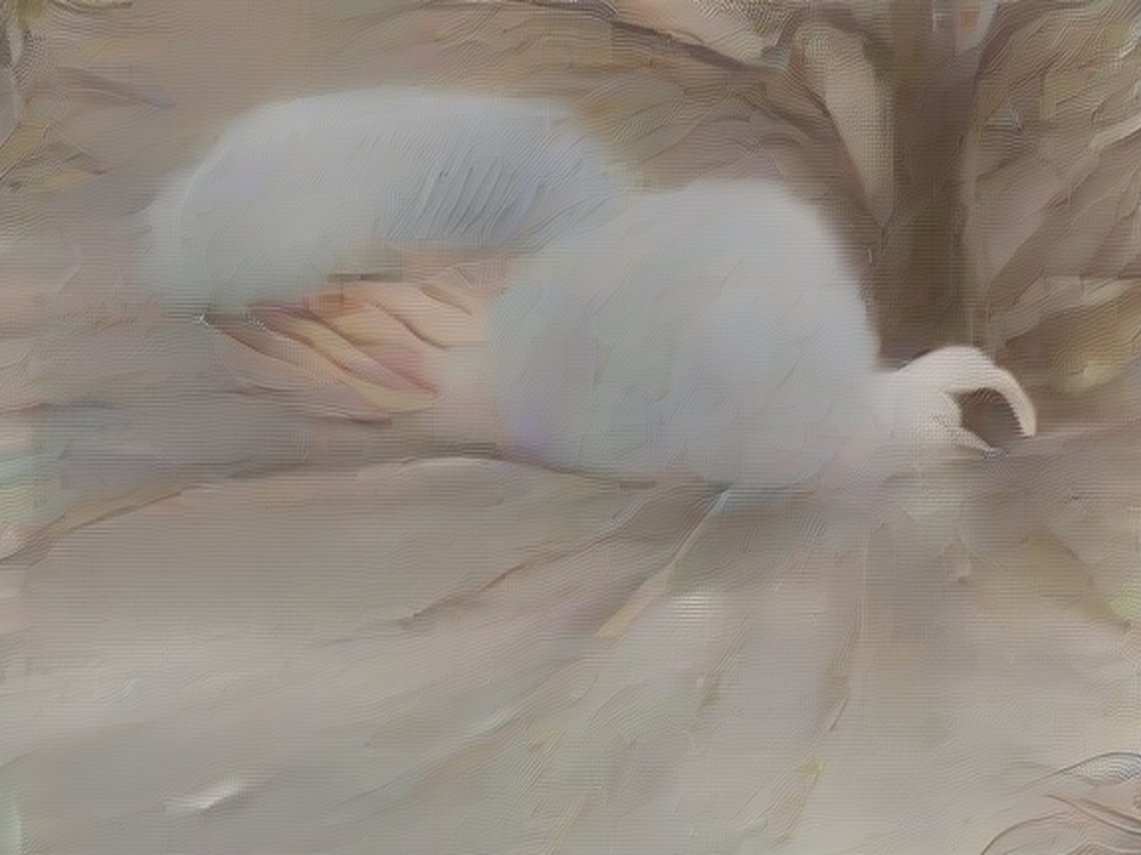 Okładka: Przedwiośnie