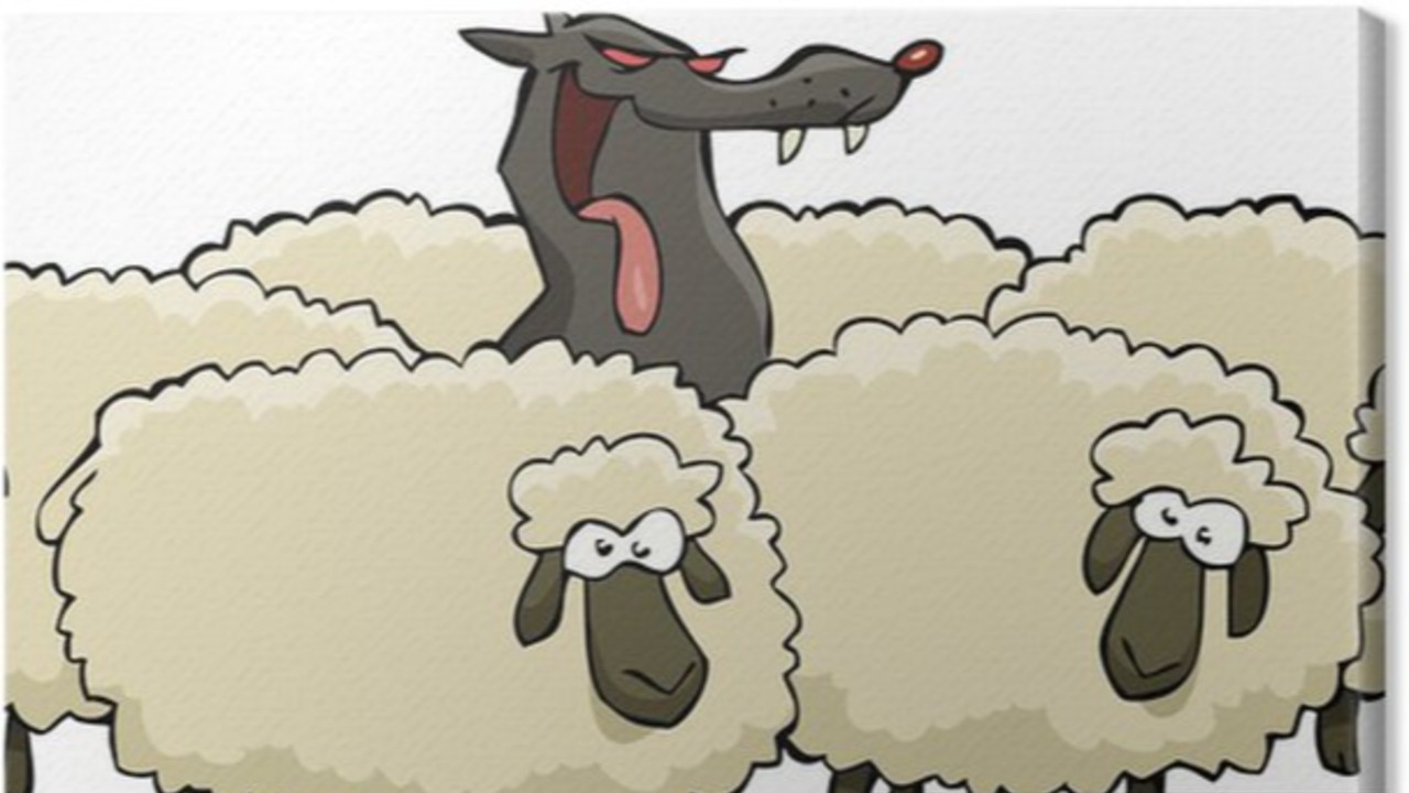 Okładka: Fraszka dworska o wyborze