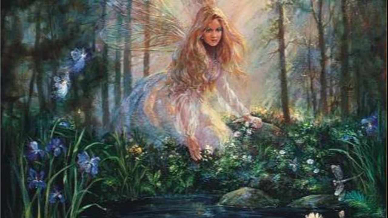 Okładka: La luna è come il vino .