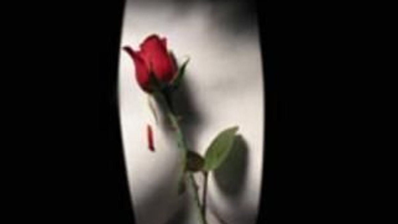 Okładka: Suknia bez pleców i trzy spójniki .